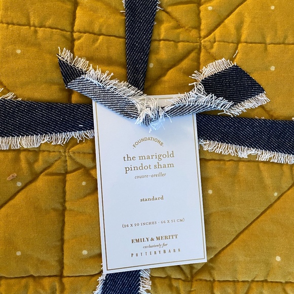 Pottery Barn Marigold Pindot Sham NWT - Picture 4 of 4